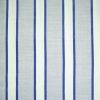 Jones Shalimar Pavilion Denim