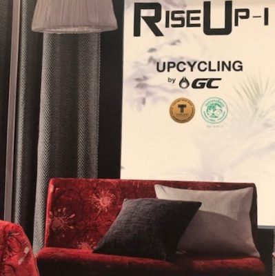 Pasaya Rise Up1 Cover