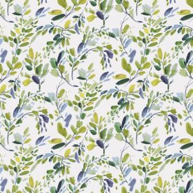 Bloom - Amilie Sapphire