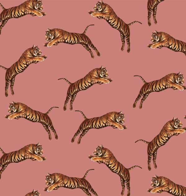 Pouncing Tigers Blossom