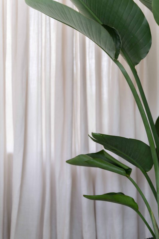 Trabeth Textiles